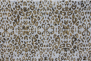 Giallo Farfalla Leopard Design