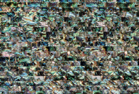 Green Abalone Large Brick